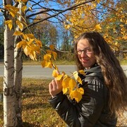  ,   , 26 ,     , c , 