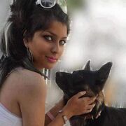 ���������� ����, �����