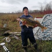 ���������� ��������, ���� ������� ���������, 45 ���, ������������ ��� ����� � ���������, c�������� ���������, ���������