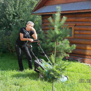 ���������� ���������� �����, ���� ������� �����, 49 ���, ������������ ��� ������, ����� � ���������, c�������� ���������