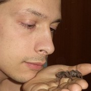 ���������� ���������, ���� ������� Mikhail, 36 ���, ������������ ��� ������, ����� � ���������, c�������� ���������