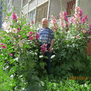  ,   , 62 ,  