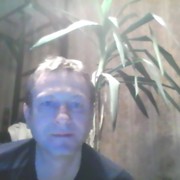  ,   , 48 ,  