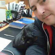 ���������� ���������������, ���� ������� ��������, 43 ����, ������������ ��� ������, ����� � ���������, c�������� ���������, ���������