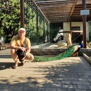  ,   , 51 ,     , c , 