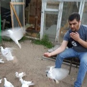  ,   , 45 ,   ,   , c 
