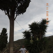 ���������� �����, ���� ������� Ivan, 44 ����, ������������ ��� ������, ����� � ���������, c�������� ���������