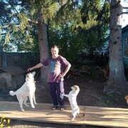 ���������� ������������, ���� ������� �������, 34 ����, ������������ ��� ������, ����� � ���������