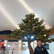  ,  , 20