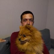 ���������� ���������, ���� ������� ����������, 39 ���, ������������ ��� ������, ����� � ���������, c�������� ���������, ���������