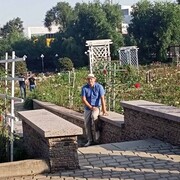 ���������� ������, ���� ������� ��������, 52 ����, ������������ ��� ����� � ���������, c�������� ���������, ���������