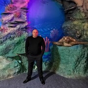 ���������� �������, ���� ������� �������, 43 ����, ������������ ��� ����� � ���������