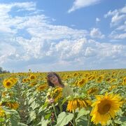 ���������� ������������, ���� ������� �����, 57 ���, ������������ ��� c�������� ���������