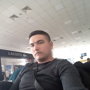 ���������� ������-��-����, ���� ������� Shurik, 35 ���, ������������ ��� ������, ����� � ���������, c�������� ���������