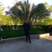 ���������� ����, ���� ������� ����, 40 ���, ������������ ��� ������, ����� � ���������