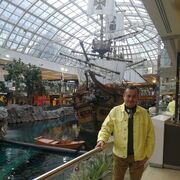 ���������� �������, ���� ������� �������, 42 ����, ������������ ��� ������, ����� � ���������, c�������� ���������