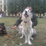  ,   , 36 ,  