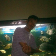  ,  dam80, 46