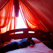 � ���������