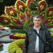  ,   , 59 ,   