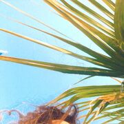 ���������� ����, ���� ������� Nazi, 36 ���, ������������ ��� c�������� ���������