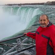  ,   Lion, 68 ,   ,   , c 