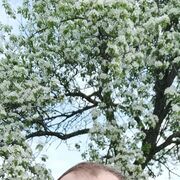  ,   Demon, 18 ,     , c 