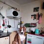  ,   , 54 ,   ,   
