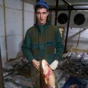  ,   Nikita, 33 ,   ,   , c 