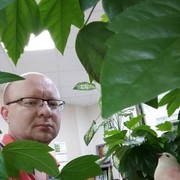 ���������� ������, ���� ������� ������, 55 ���, ������������ ��� ������, ����� � ���������, c�������� ���������