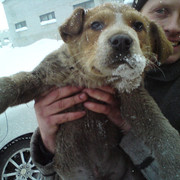  -,   , 50 ,   ,   , c 