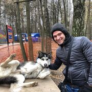 ���������� ������, ���� ������� ������, 36 ���, ������������ ��� ������, ����� � ���������