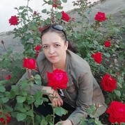 ���������� ����-�����������, ���� ������� ��������, 40 ���, ������������ ��� ������, ����� � ���������, c�������� ���������