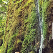 ���������� �����, ���� ������� RaKa, 45 ���, ������������ ��� ������, ����� � ���������, c�������� ���������