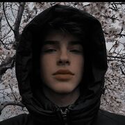 ���������� ���������, ������� Ramzes, 38