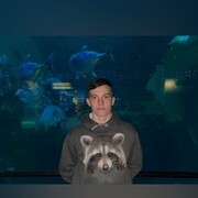 ���������� ������, ���� ����� ��������, 22 ����, ������������ ��� ������, ����� � ���������, c�������� ���������