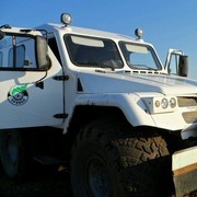 ���������� �����, ���� ������� ����, 41 ���, ������������ ��� ����� � ���������, c�������� ���������