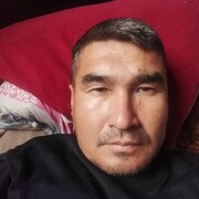  ,   SHOXAN, 50 ,   ,   , c 