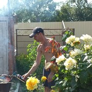 ���������� ������������, ���� ������� ���������, 36 ���, ������������ ��� ������, ����� � ���������, c�������� ���������, ���������