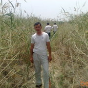 ���������� �������, ���� ������� ������, 43 ����, ������������ ��� ������