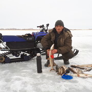 ���������� �����������, ���� ������� ����, 41 ���, ������������ ��� ������, ����� � ���������, c�������� ���������