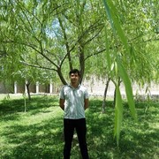  ,   Botir, 41 ,   ,   , c 