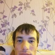  ,   Tigrenok, 38 ,   ,   , c , 