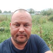   ,  , 43