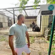 ���������� ������, ���� ������� ������, 31 ���, ������������ ��� ������, ����� � ���������