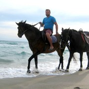 ���������� ���������, ���� ������� �������, 43 ����, ������������ ��� ������, ����� � ���������, c�������� ���������