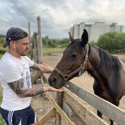 ���������� �����, ���� ������� ������, 32 ����, ������������ ��� ������, ����� � ���������