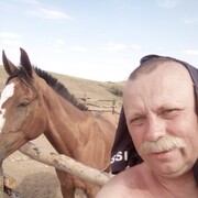 ���������� ��������, ���� ������� ����, 49 ���, ������������ ��� ������, ����� � ���������