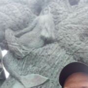 ���������� ��������, ������� ����������, 37