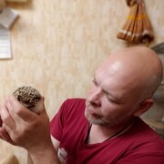  ,   , 42 ,   c 